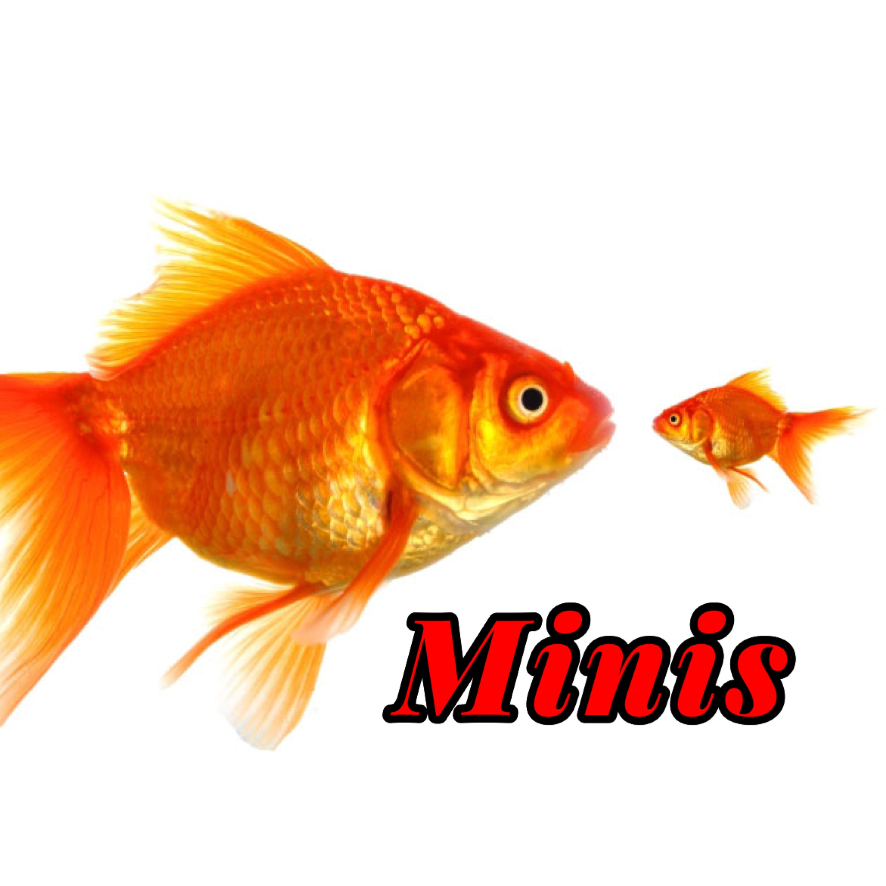 Mini Sizes or Kid-friendly Patterns – Hair Carnival HK